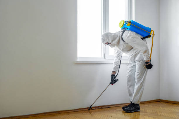 Best Pest Removal Services  in Pemberwick, CT